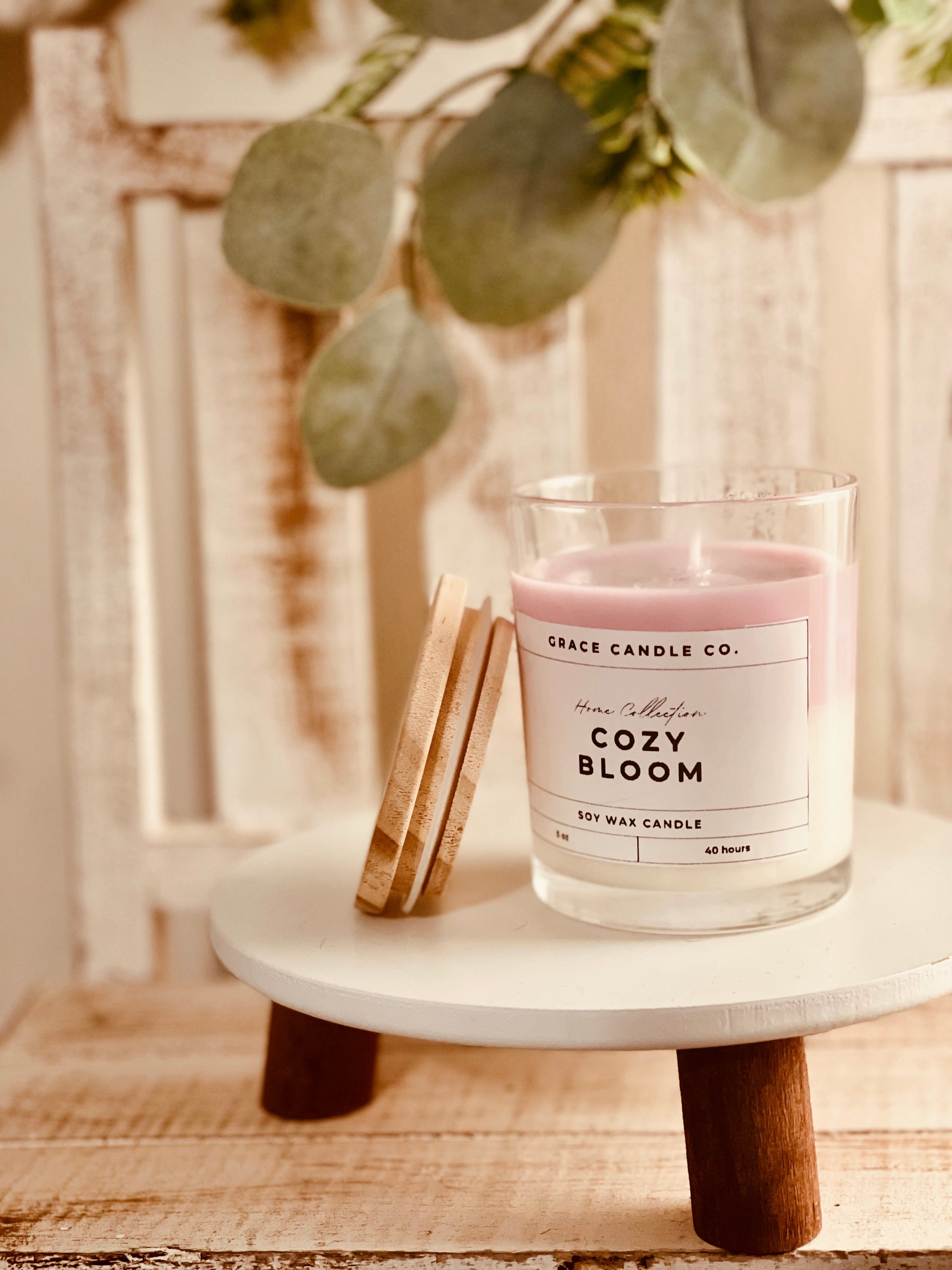 Cozy Bloom 💜🪷